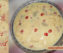 Fruit Custard Recipe